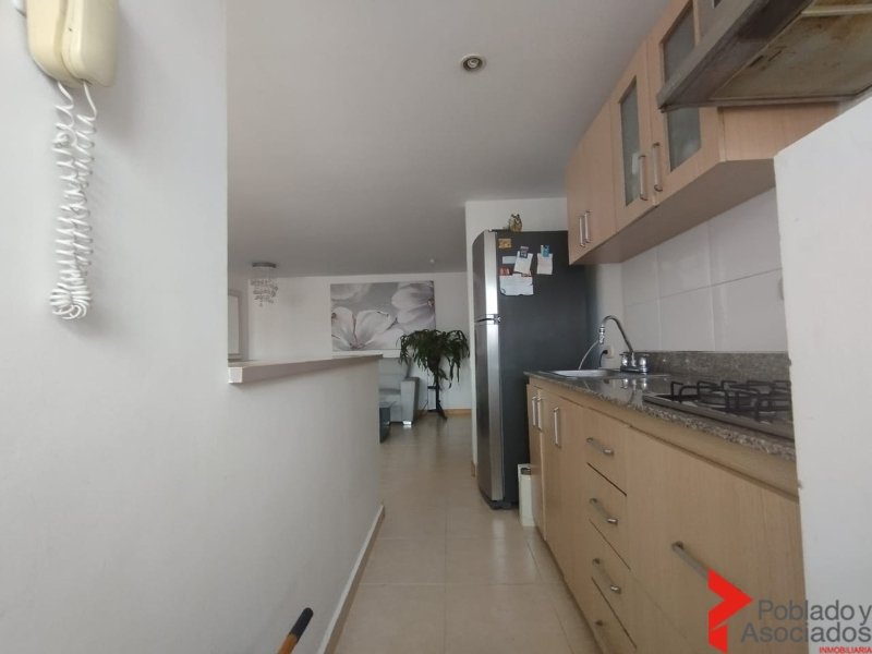 Amoblados en Arriendo en San Jose